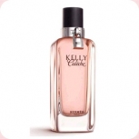 Hermes Kelly Caleche