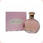 Blumarine Blumarine //