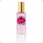 Victoria's Secret Pure Seduction