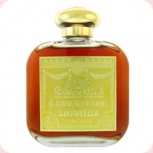 Santa Maria Novella  Ambra