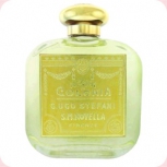 Santa Maria Novella  Iris