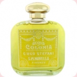 Santa Maria Novella  Magnolia