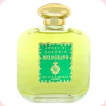 Santa Maria Novella  Melograno
