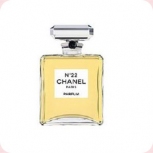 Chanel Chanel �22