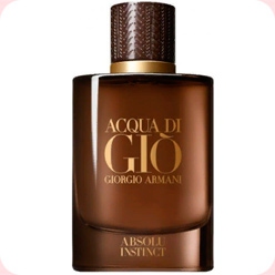 Giorgio Armani Acqua Di Gio Absolu Instinct