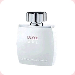 Lalique White Lalique Parfums