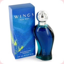 Giorgio Beverly Hills Wings for Men  Giorgio Beverly Hills