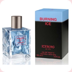Burning Ice  Iceberg