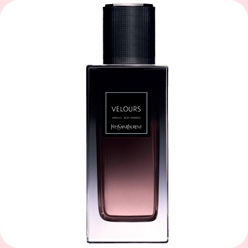 YSL Velours  Yves Saint Laurent Parfum